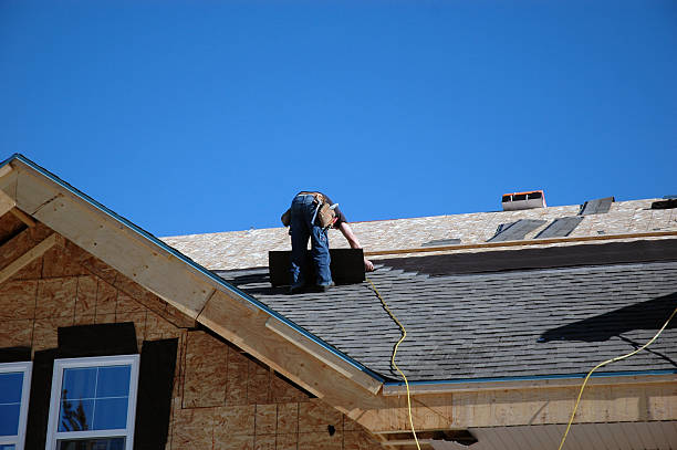 Best Gutter Installation and Roofing  in Fraser, MI