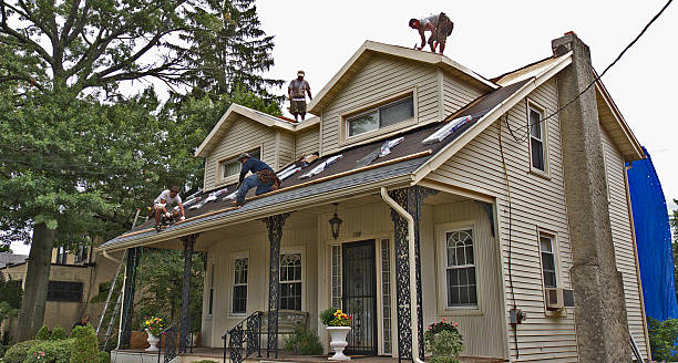 Best New Roof Installation  in Fraser, MI