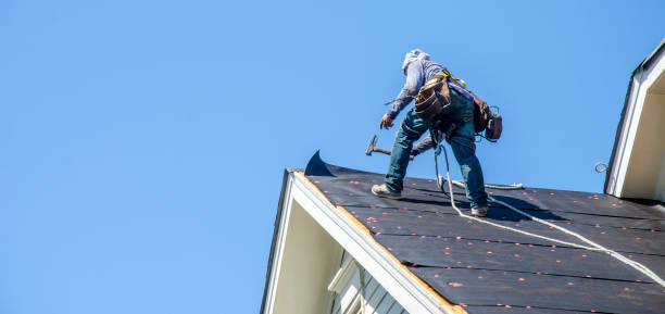 Best Roof Restoration Services  in Fraser, MI